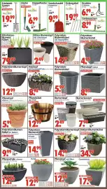 Wreesmann Prospekt Seite 3