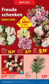 Lidl Prospekt woche 10 Seite 15