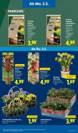 Lidl Prospekt woche 10 Seite 17