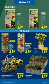 Lidl Prospekt woche 10 Seite 21
