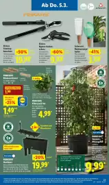 Lidl Prospekt woche 10 Seite 41