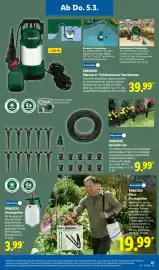 Lidl Prospekt woche 10 Seite 43