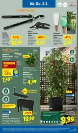 Lidl Prospekt woche 10 Seite 45
