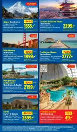 Lidl Prospekt woche 10 Seite 59