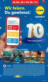 Lidl Prospekt woche 10 Seite 67