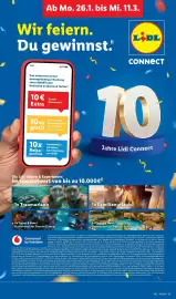Lidl Prospekt woche 10 Seite 67