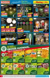 Norma Prospekt woche 10 Seite 6