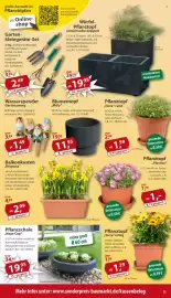 Sonderpreis Baumarkt Prospekt woche 9 Seite 13