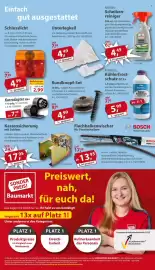 Sonderpreis Baumarkt Prospekt woche 9 Seite 17