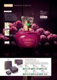 Catálogo Eudora Página 100