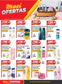 Catálogo Supermercados Comodin semana 8 Página 11