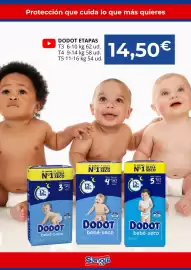 Folleto Sangüi Página 11