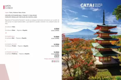 Catálogo Catai Página 31