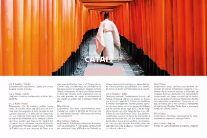 Catálogo Catai Página 41