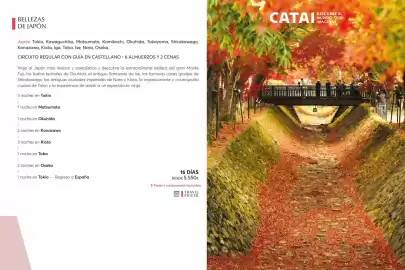 Catálogo Catai Página 73