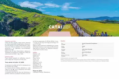 Catálogo Catai Página 99