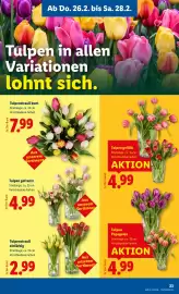 Lidl Flugblatt woche 9 Seite 25