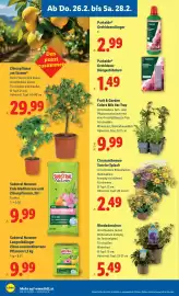 Lidl Flugblatt woche 9 Seite 26