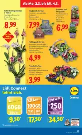 Lidl Flugblatt woche 9 Seite 30