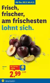 Lidl Flugblatt woche 9 Seite 4