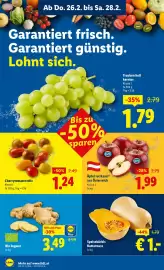 Lidl Flugblatt woche 9 Seite 6