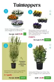 Intratuin folder week 9 Pagina 2