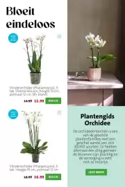 Intratuin folder week 9 Pagina 4