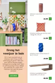 Intratuin folder week 9 Pagina 6