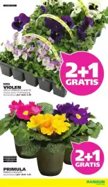 Ranzijn folder Pagina 5