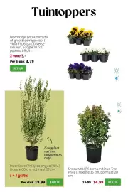 Intratuin folder week 9 Pagina 2