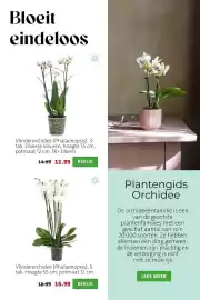 Intratuin folder week 9 Pagina 4