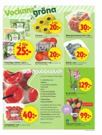 ICA Supermarket reklamblad vecka 9 Sida 9