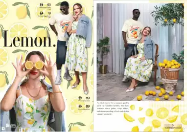 Nesto catalogue Page 3