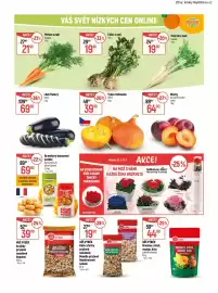 Globus leták týden 9 Strana 17