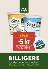 Coop Mega kundeavis uke 9 Side 15