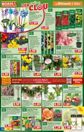 Norma Prospekt woche 10 Seite 14