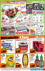 Norma Prospekt woche 10 Seite 15