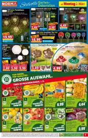 Norma Prospekt woche 10 Seite 5