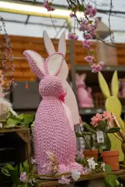 Intratuin folder week 9 Pagina 2