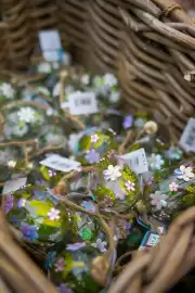 Intratuin folder week 9 Pagina 4