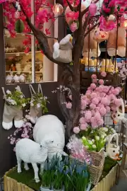 Intratuin folder week 9 Pagina 5