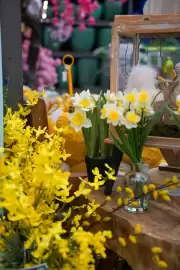 Intratuin folder week 9 Pagina 6