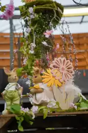 Intratuin folder week 9 Pagina 7