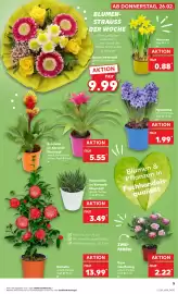 Kaufland DE folder week 9 Pagina 5