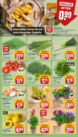 REWE Prospekt woche 9 Seite 7