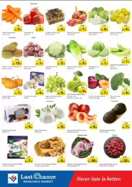 Last Chance flyer Page 2