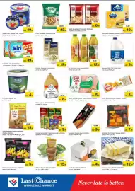 Last Chance flyer Page 6