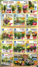 CENTERSHOP Prospekt woche 9 Seite 7