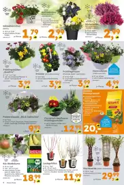 Globus Baumarkt Prospekt Seite 4