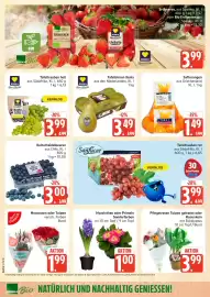 Marktkauf Prospekt Seite 6